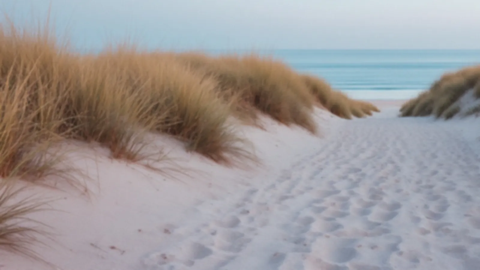 Calm sea inlet with dune grass in soft light, the InletPath view of online loans for unexpected bills, $100 – $5,000